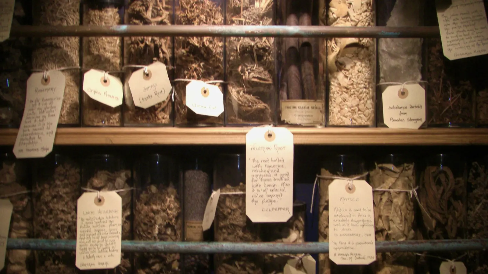 Shelves of labelled botanical ingredients